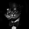 Profilbild von Top Spinner