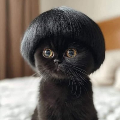 _yukiis's profile picture