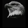الدرع المصري ☢️ Sakr Eg profil fotoğrafı