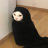 Profilbild von あき🤮🤮🤮