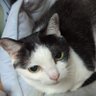ゆったん profil fotoğrafı