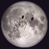 Moon ° 的头像