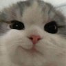 Profilbild von Blessed