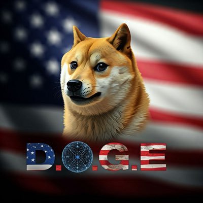 D.O.G.E on Solana's profile picture