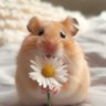 Profilbild von baba