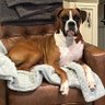 Sky Q's profile picture