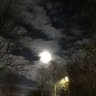 Volles Mondlicht profil fotoğrafı