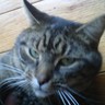 Profilbild von Ty