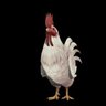 Parmjit Singh profil fotoğrafı