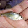 Lll 21 profil fotoğrafı