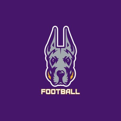 UAlbanyFootball's profile picture