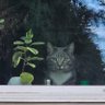 Profilbild von Nervous Nancy
