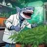Landshark_Grows 的头像