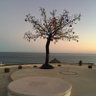 bob orange's profile picture