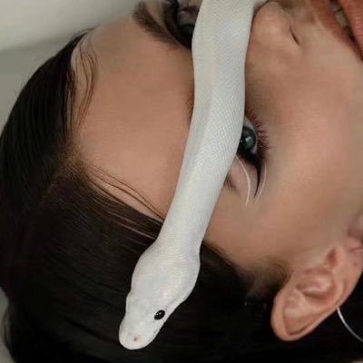 安晴S酸菜小猪脚's profile picture