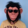 QI de Chimpanzé's profile picture