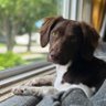 MyFairBritts profil fotoğrafı