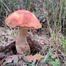 Uno de tantos. profil fotoğrafı