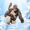 HEFE's profile picture