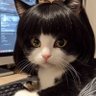 小熊's profile picture