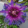 Фото профиля mateus