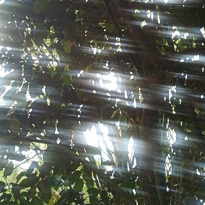 Subo mo ako's profile picture