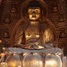 世尊😇 的头像