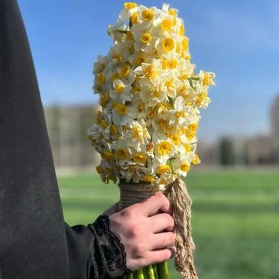 Rola Manssour's profile picture