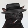 chaos-is-a-ladder's profile picture