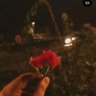 Фото профиля Anad