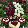 Anil Kumar.'s profile picture
