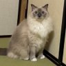 Фото профиля やさしさライセンス2級