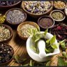 Profilbild von Herbalgardener