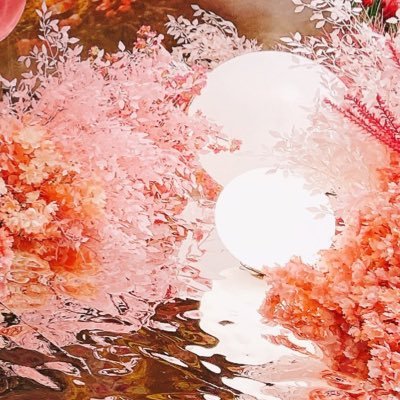 ☁️🏜️'s profile picture
