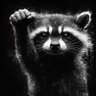 Wildlife🪂🪖's profile picture