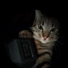 𝓑's profile picture