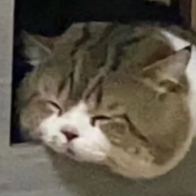 XLTwow's profile picture