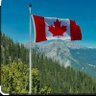 Canada_First 的头像