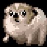 sDOG's profile picture