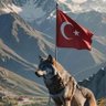 Profilbild von Murat Ozkok