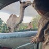 ابوعبدالله's profile picture