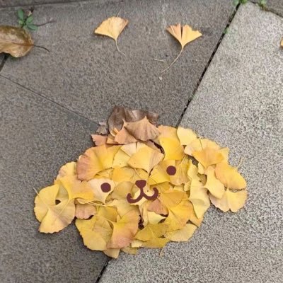 xxuk11's profile picture