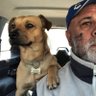 Mariano Garcia's profile picture