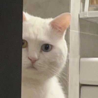 Milu's profile picture