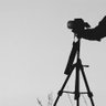 Carlos Fotógrafo 的头像