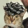 Profilbild von 1312