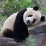 FJuni 的头像