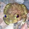 MizzouraBoatRide's profile picture