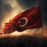 Devlet Neferi🇹🇷 的头像