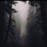 AuditoryRhythms's profile picture